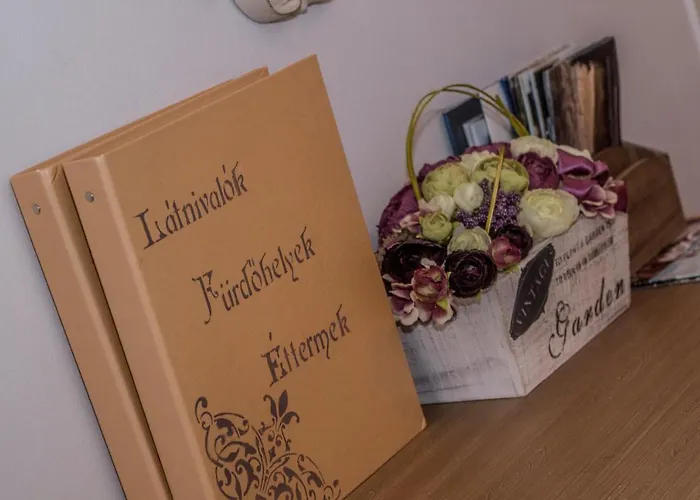 Belvarosi Vintage Apartman A Setaloutcan